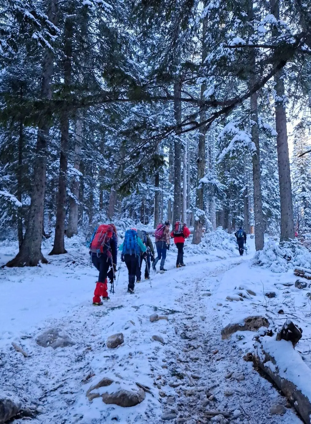 Winter Ascent of Hajla — Safet Mavrić Ćako Memorial — 1