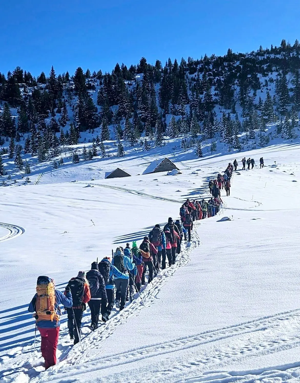 Winter Ascent of Hajla — Safet Mavrić Ćako Memorial