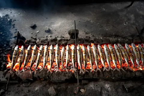 Dan širuna — Horse Mackerel Day — 2