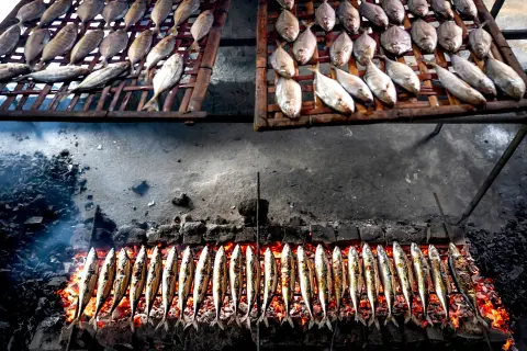 Dan širuna — Horse Mackerel Day — 3