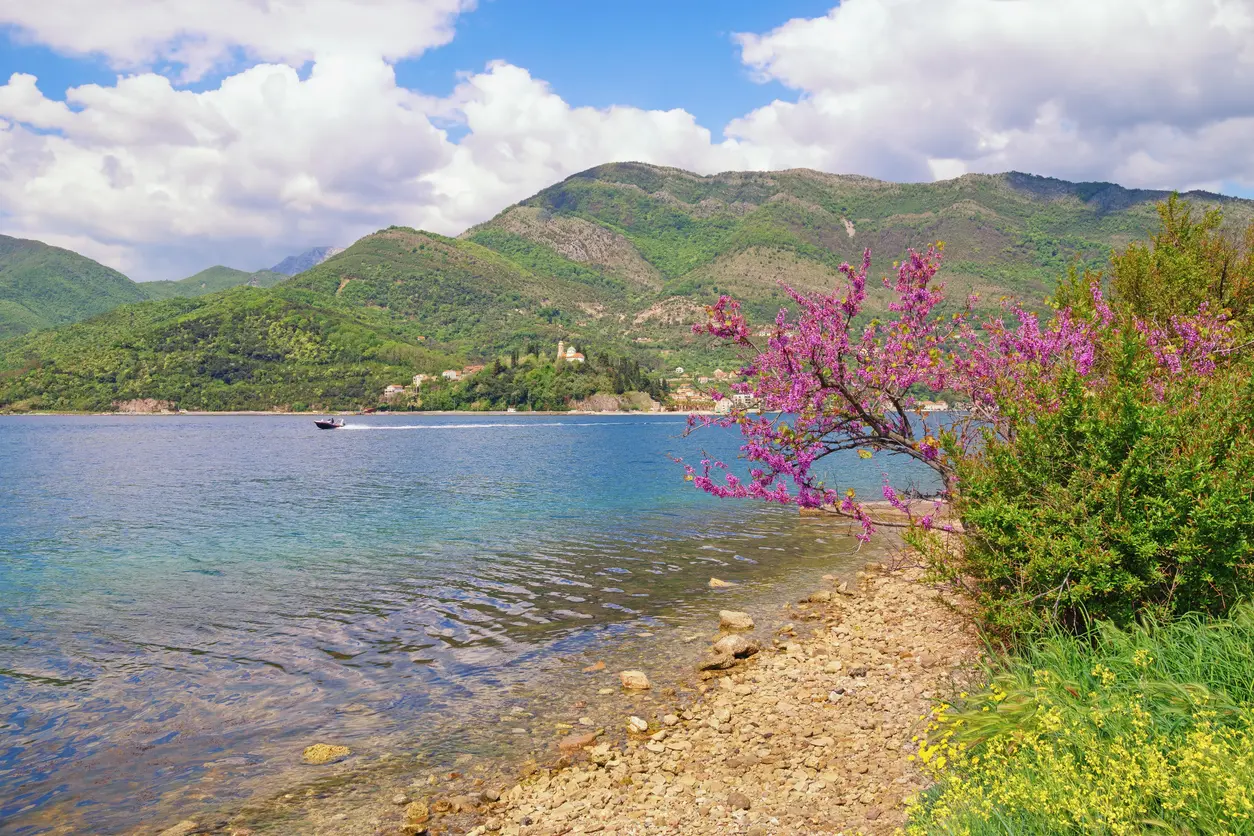 Proljeće u Crnoj Gori u slikama — image 4