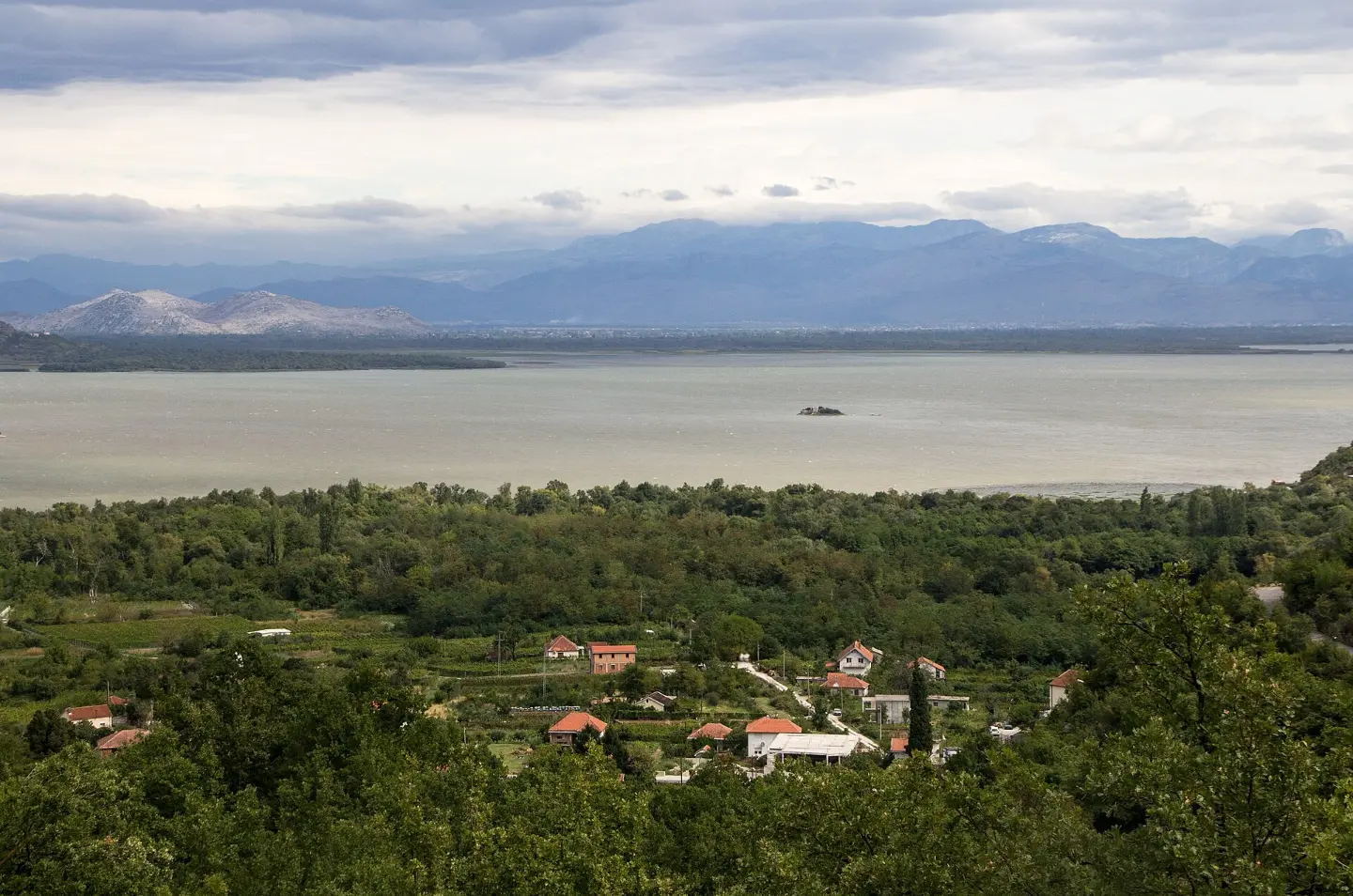 Vranac from Crmnica: Montenegro's Native Red