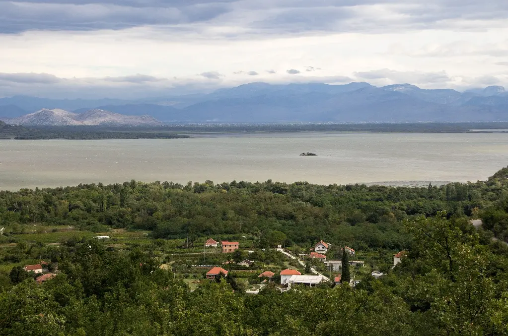 Crmnički vranac