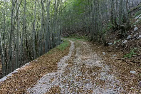 Primorska Planinarska Transverzala, Montenegro 153