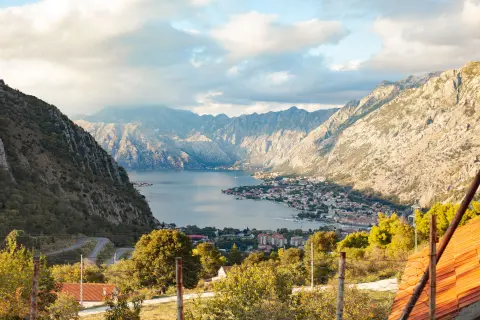 ROMAN ODINTSOV