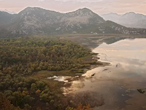 Autumn colours at Lake Skadar, Montenegro (6337544395)