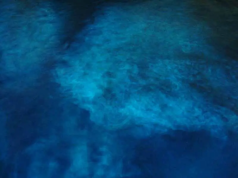 Diving in Montenegro: wrecks, caves and the Adriatic seabed