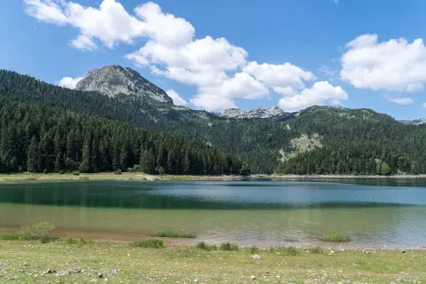 带孩子游黑山：家庭冒险之旅