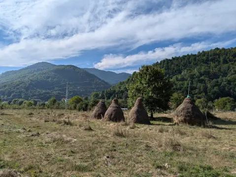 Agrotourismus und ländliche Haushalte in Montenegro: Übernachtung und Essen auf dem Land