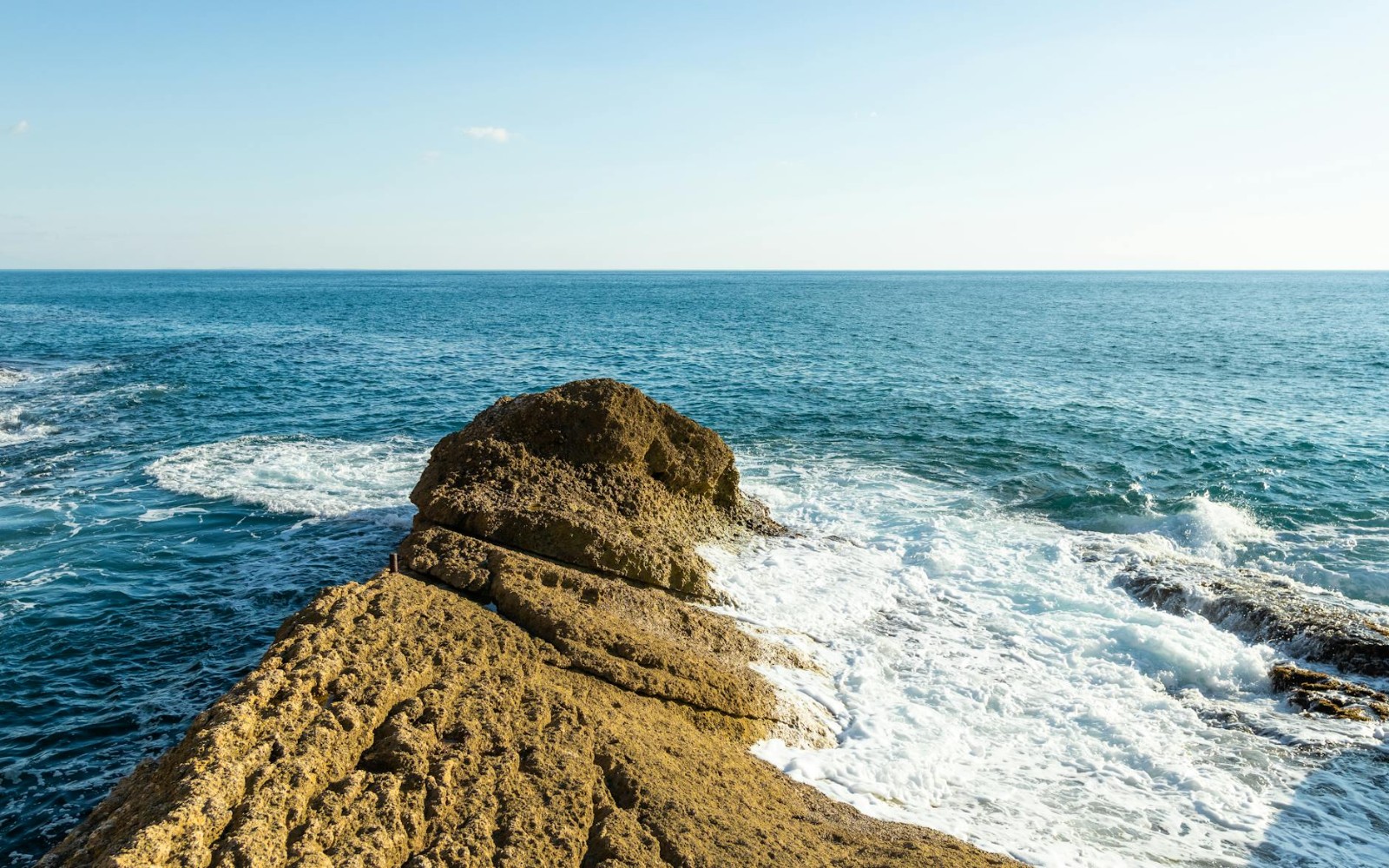 Where Rivers Meet the Sea