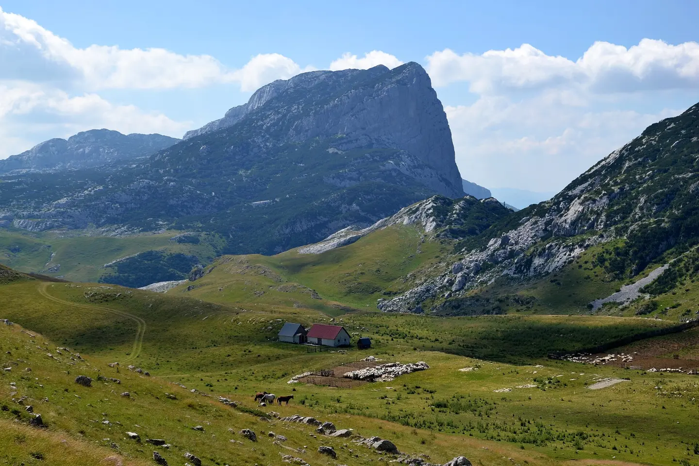 Kajmak and Durmitor Skorup: Montenegro's Mountain Cream