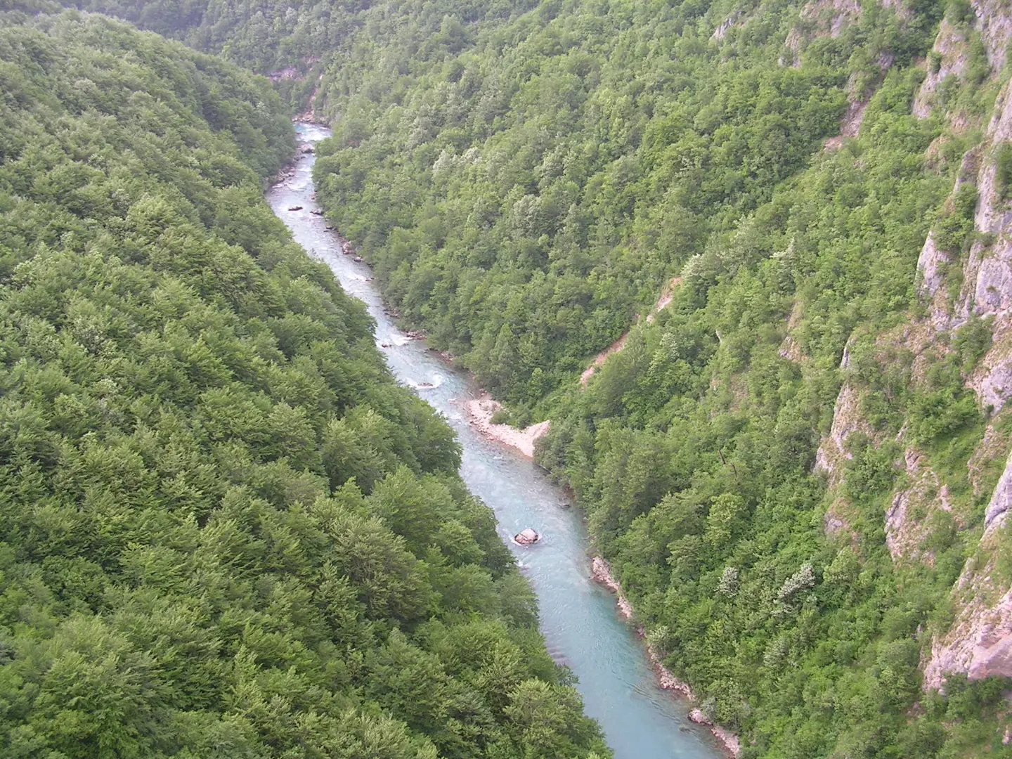 Каньйони Чорногорії