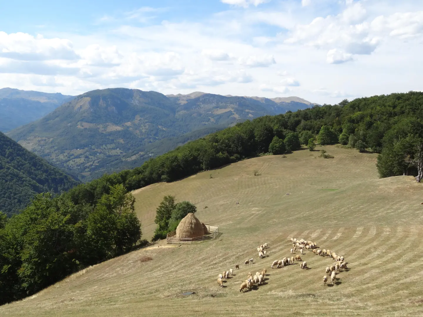 The Village Table: Montenegro's Mountain Kitchen