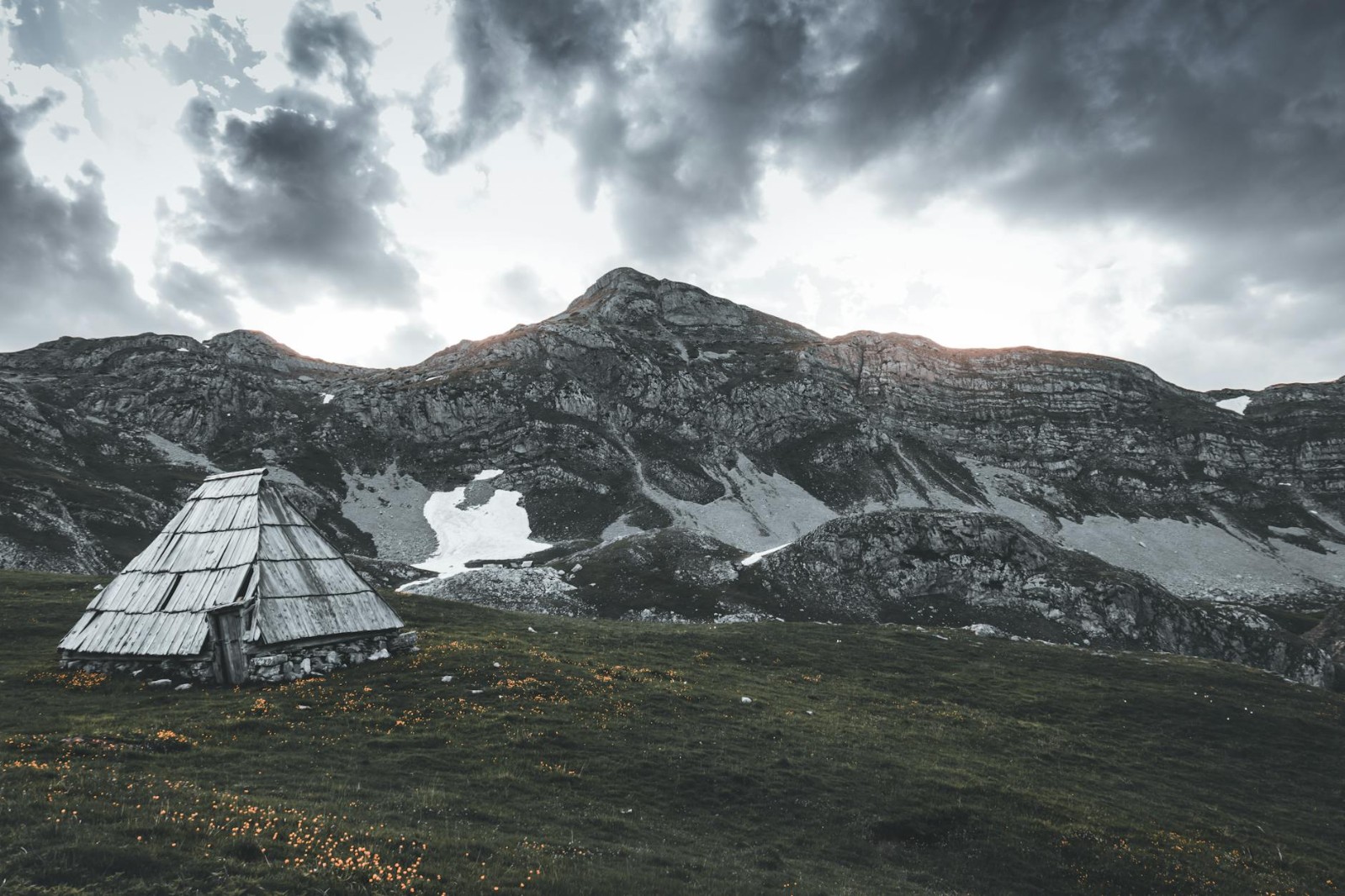 Autentična transhumance
