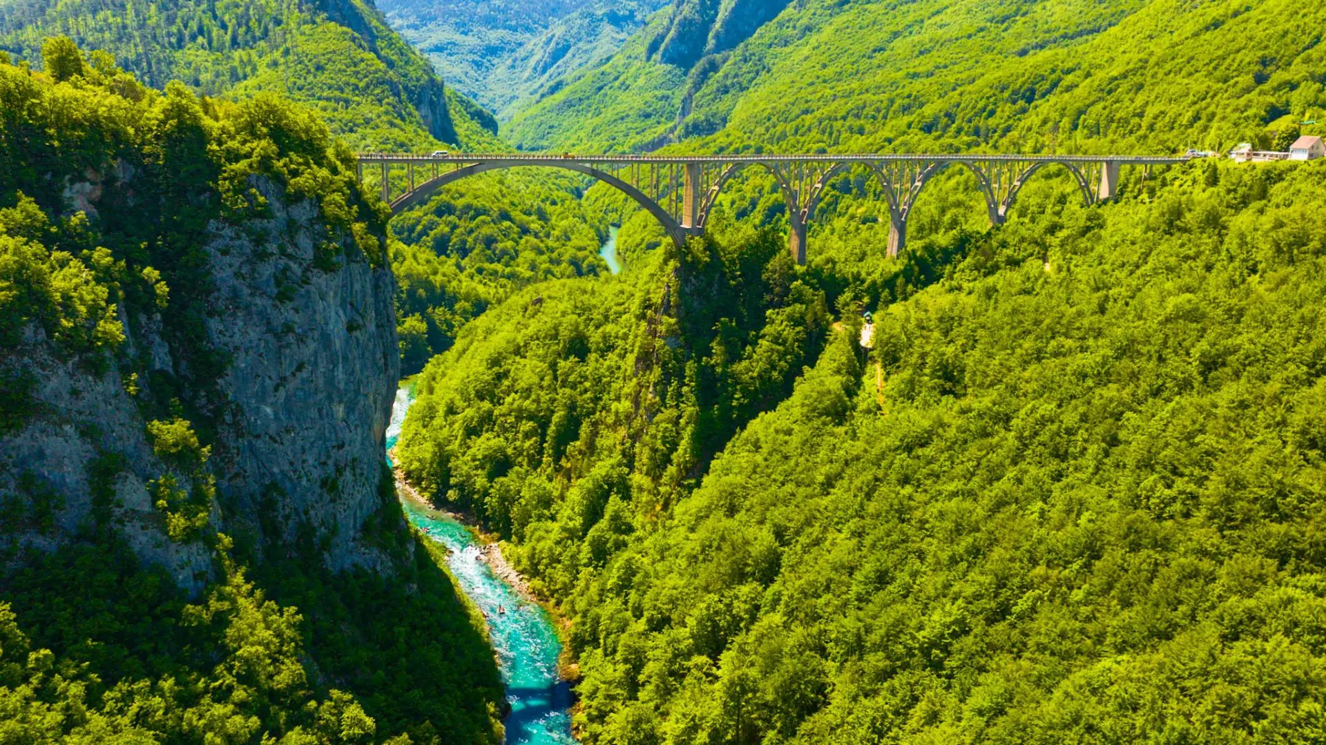 קניון נהר Tara