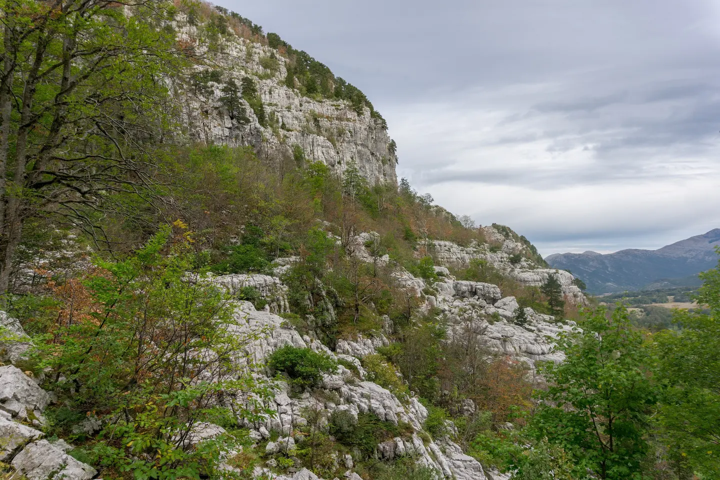 Trail up to Subra