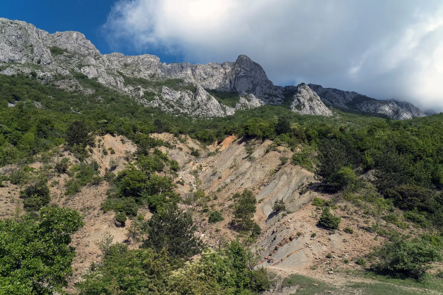 Baltina – Gornji Šestani