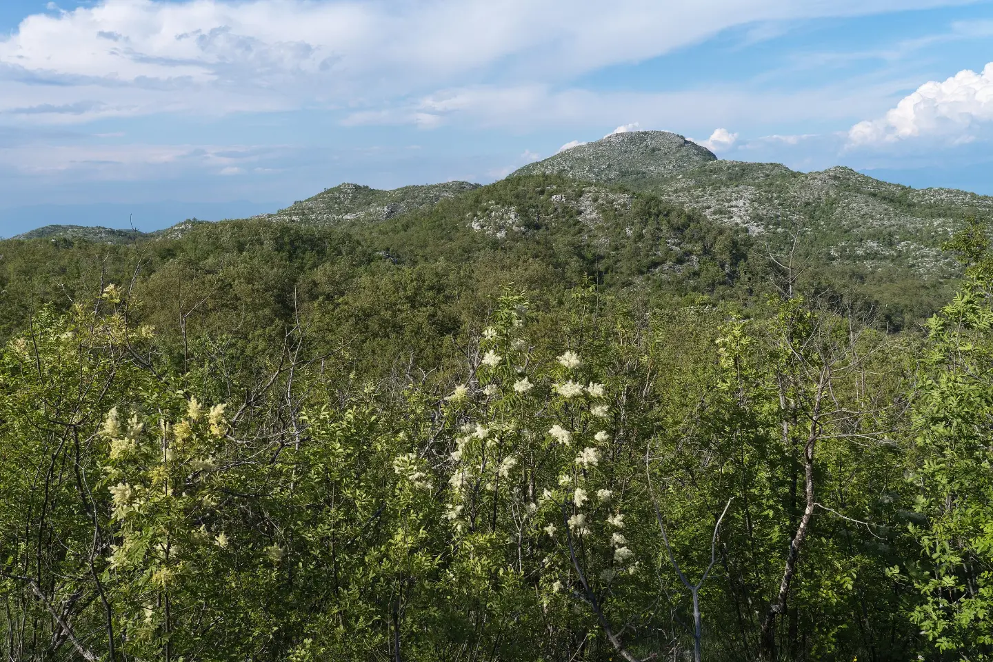 Pogled sa staze ka Bijeloj skali
