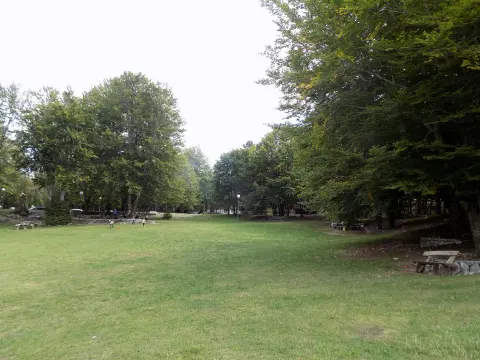 Planinarska staza kroz Nacionalni park Lovćen