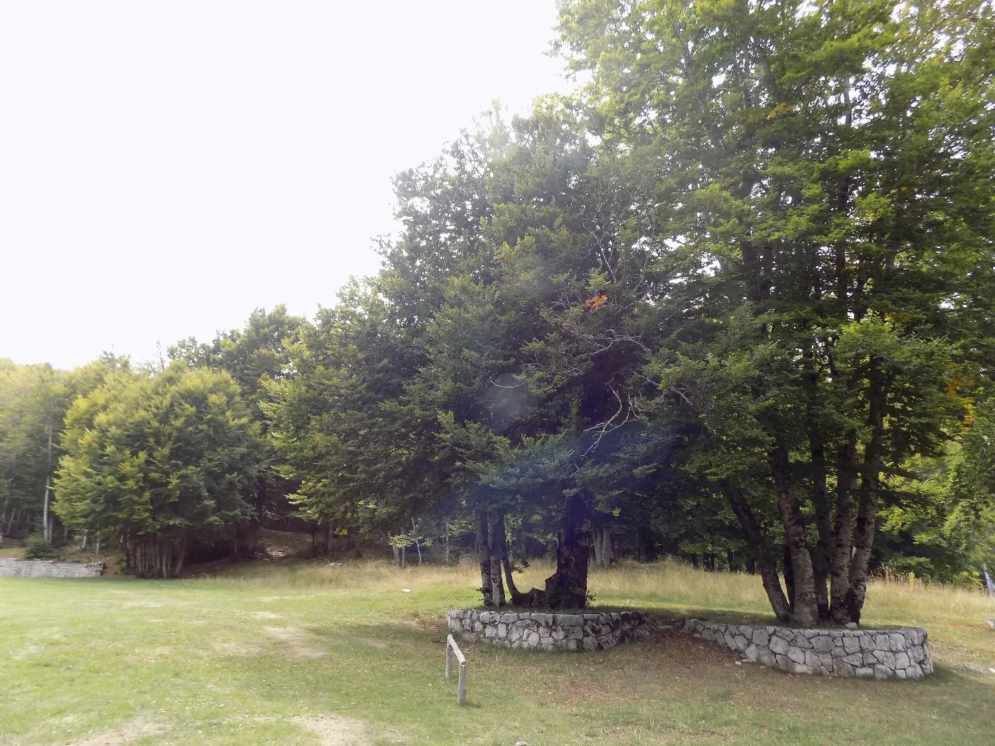 Ivanova Korita, the trailhead