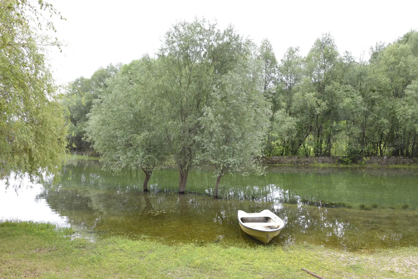 A boat on the riverbank