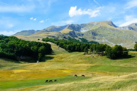Žabljak – Šljeme