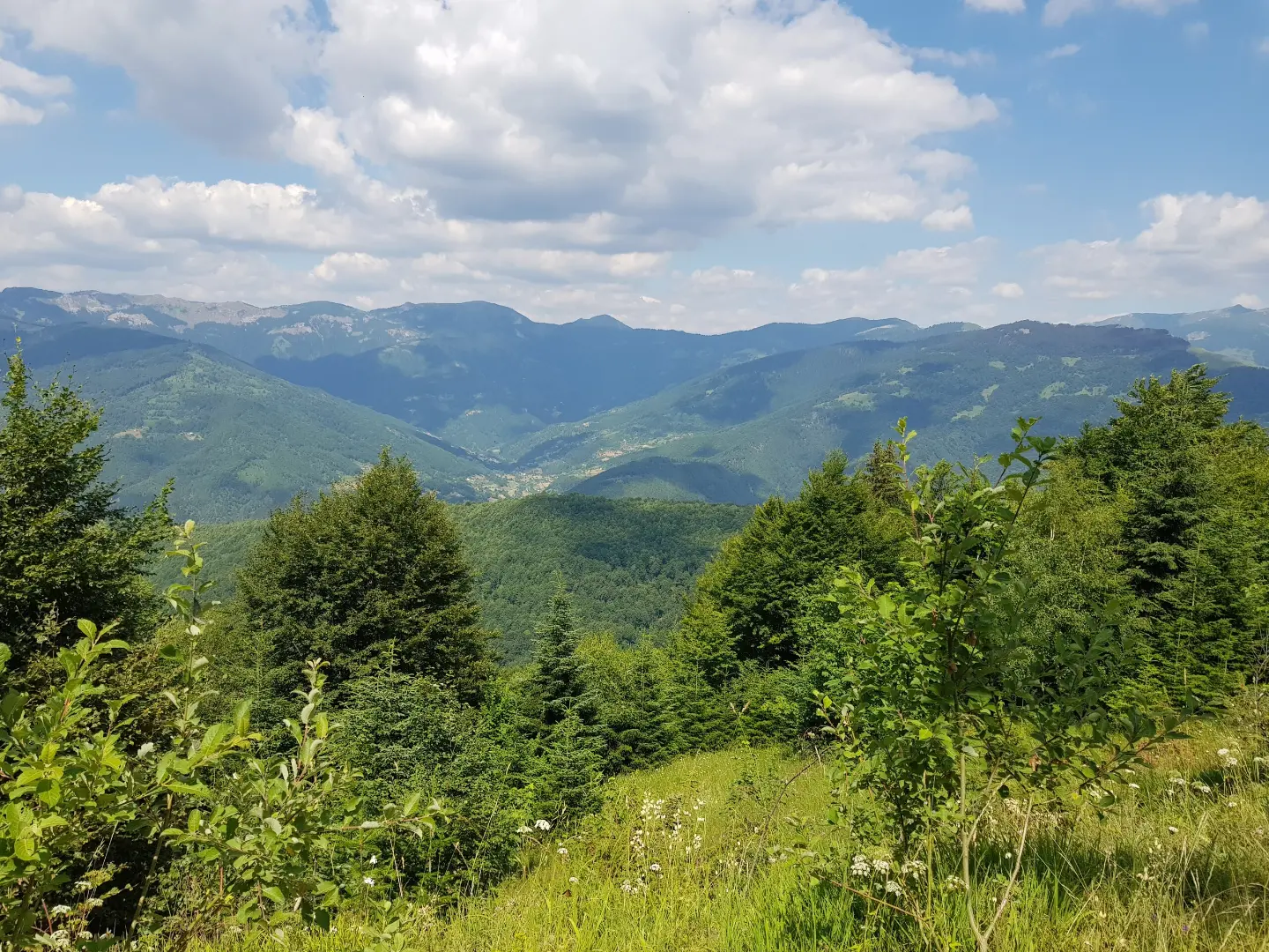 Biking Trail PL05