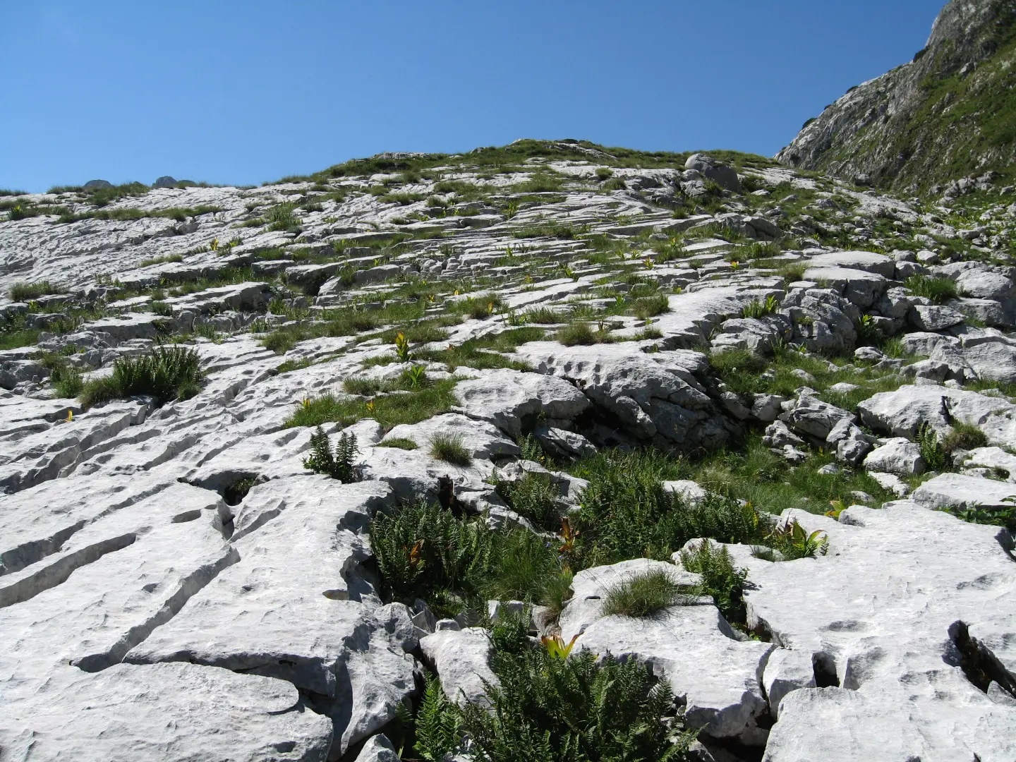 Karst terrain towards Sagorele ploče