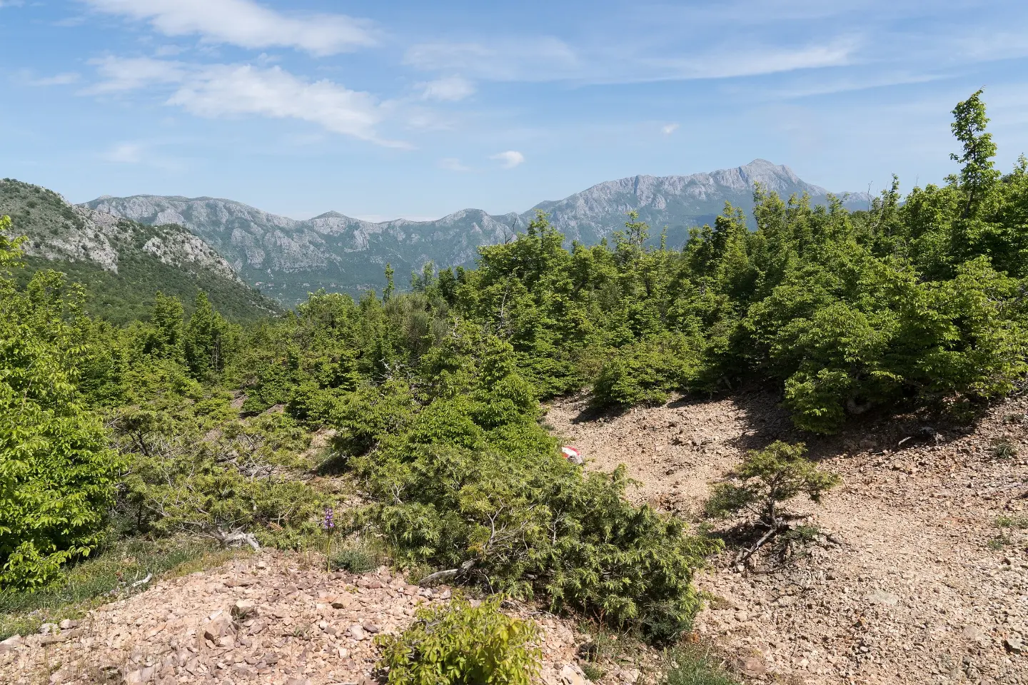 Planine oko Šušnja