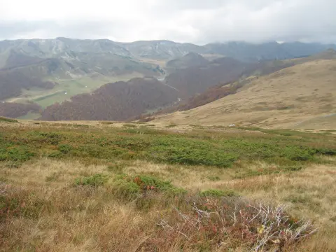 Brzava – Šiško jezero