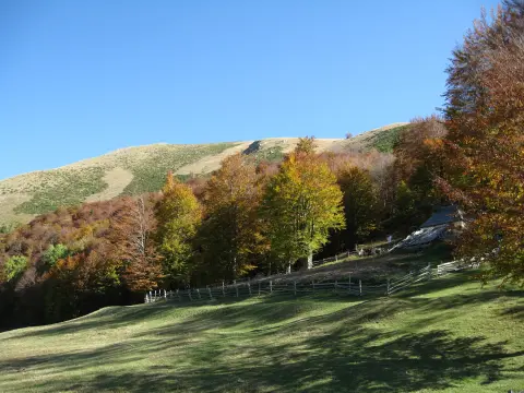 Žabljak via Sinjavina to Biogradska gora