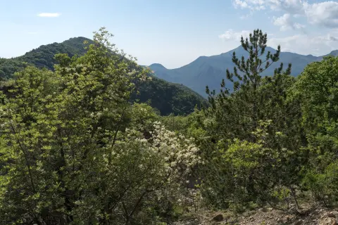 Baltina – vidikovac