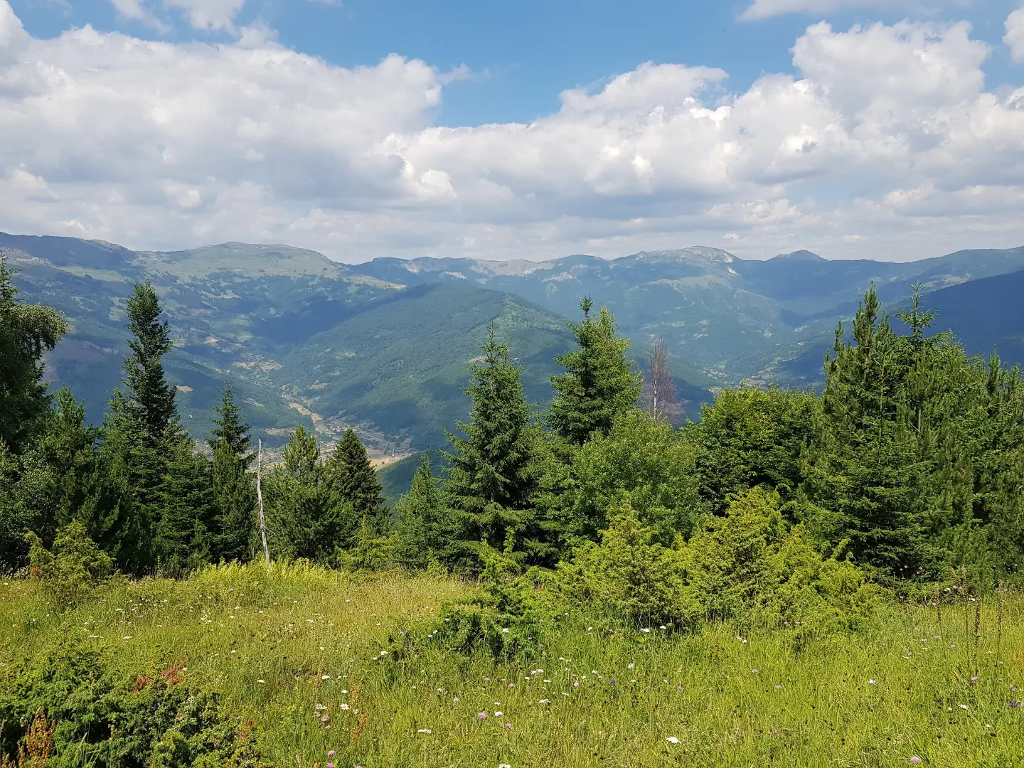 Pogled sa Zaparenika
