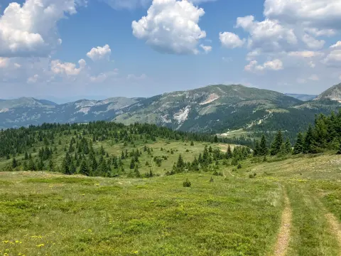 Starac – Čakor