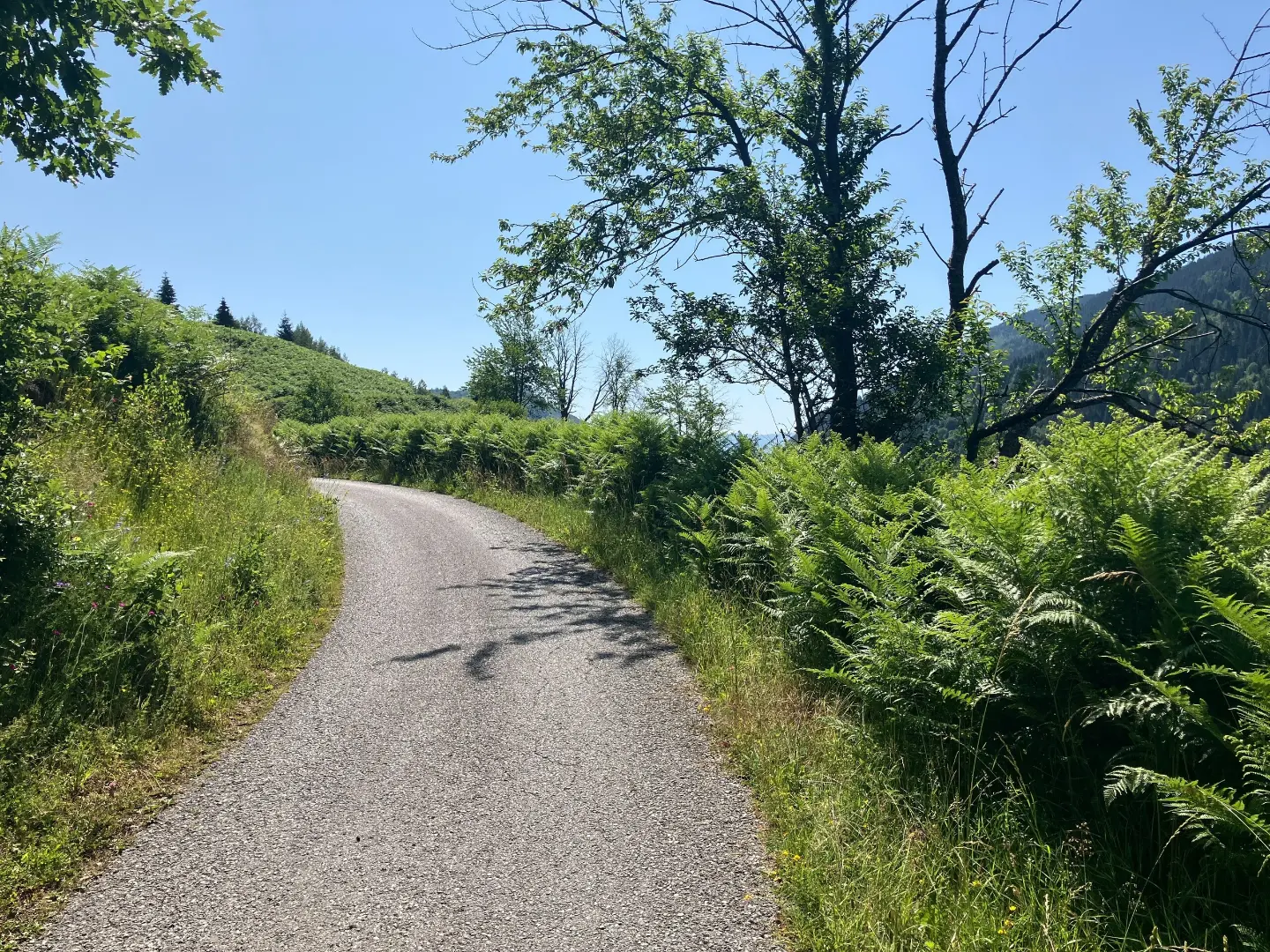 Road through Lubnice
