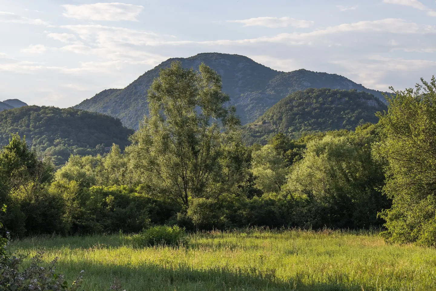 Landscape in Boljevići