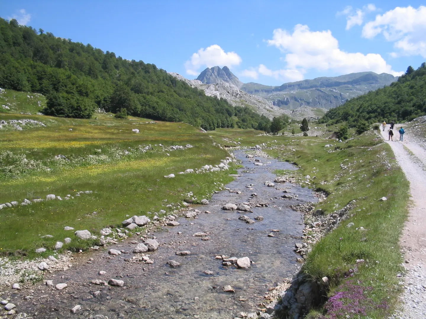 Torine Campsite – Kapetanovo Jezero (suggested trail, no trailmarks)
