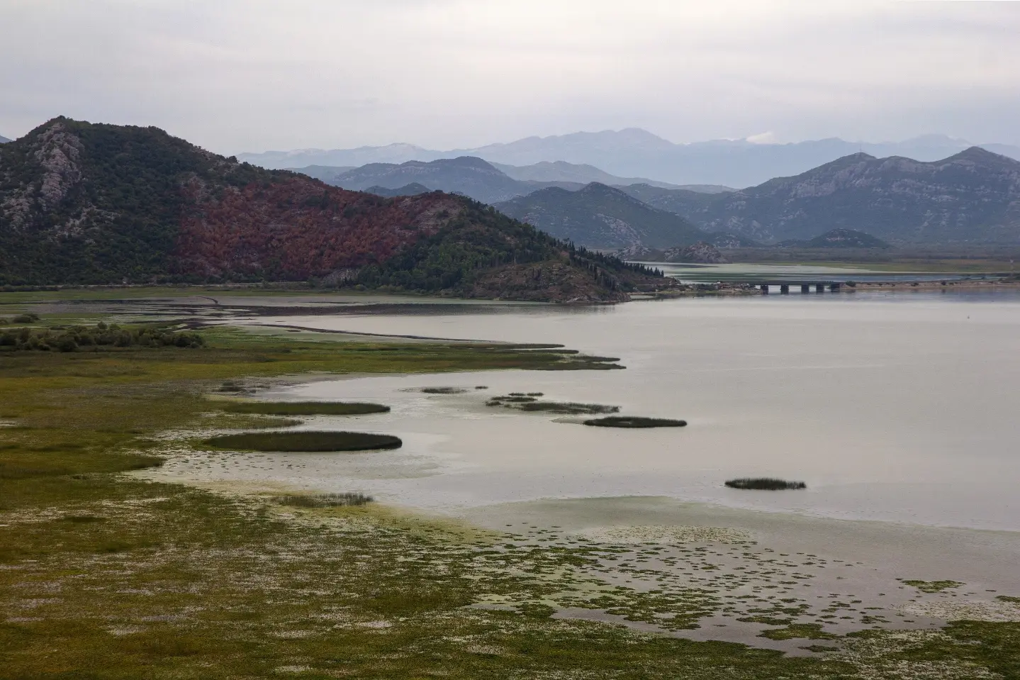 Lake Skadar