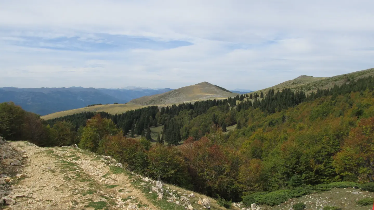 Mučnica