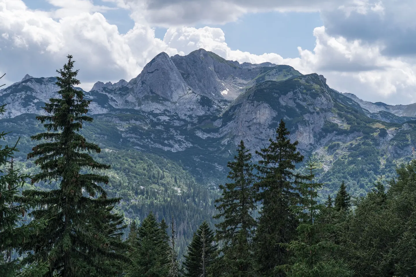 View from the trail to Jablan Lake