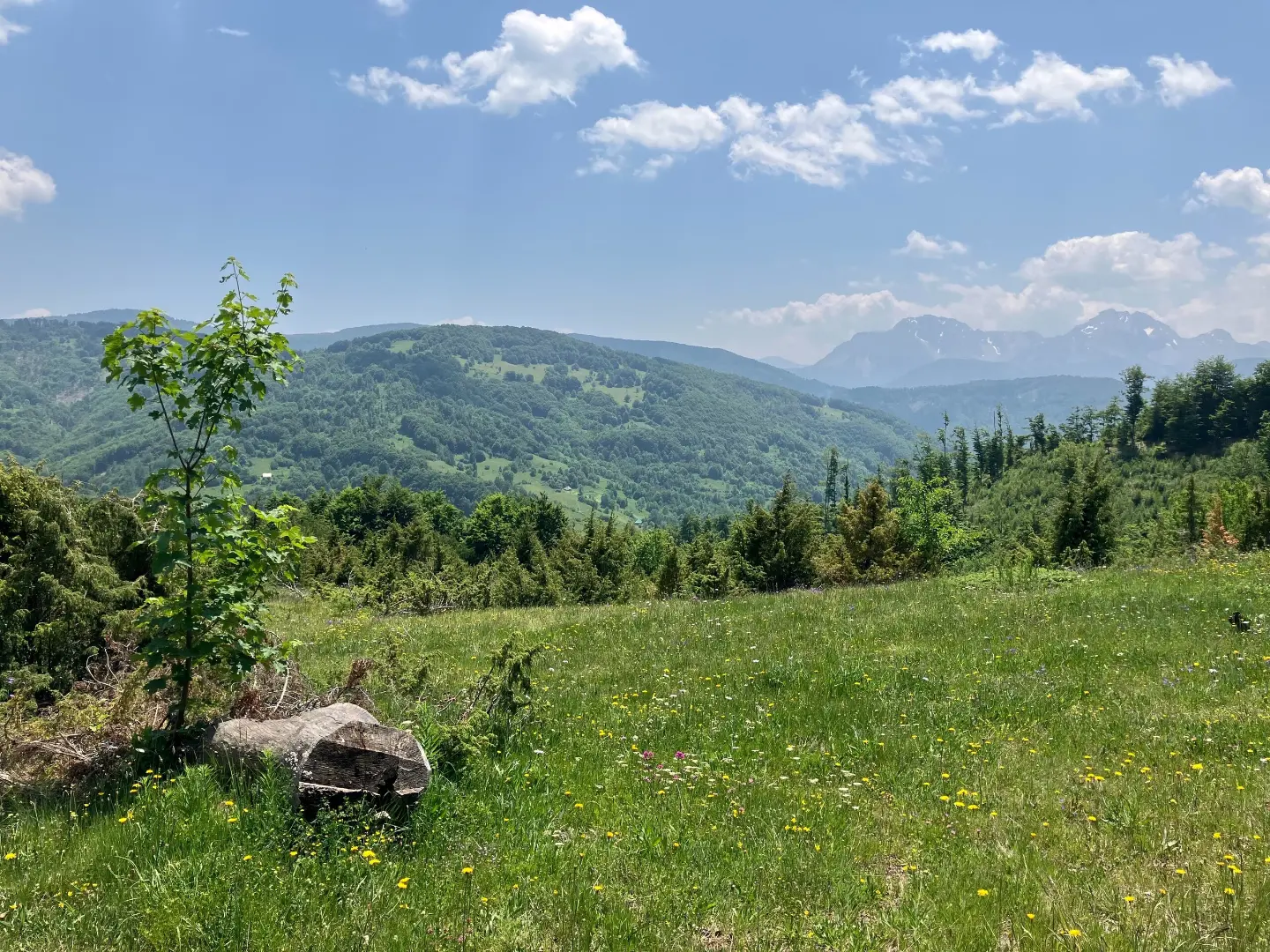 View from the trail near Mateševo