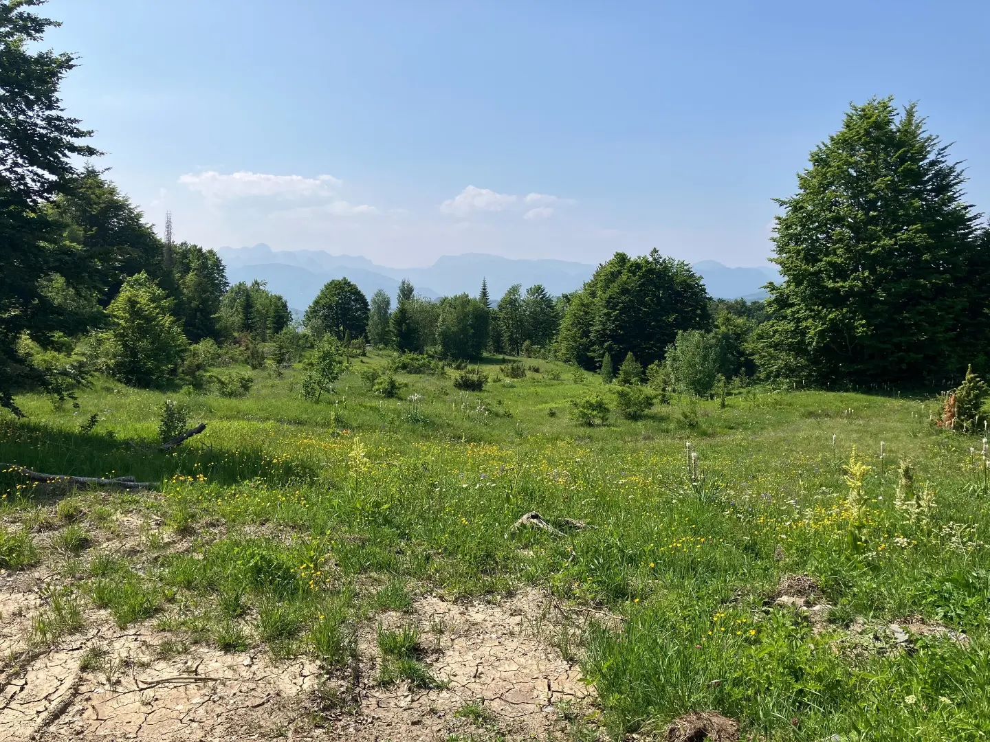 Meadows on the way to Ključ