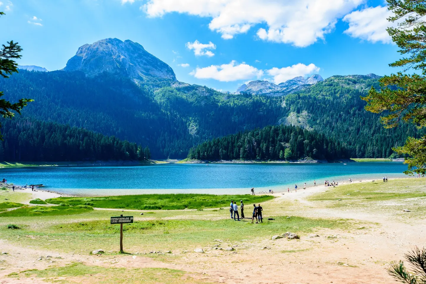 Meadow by Black Lake