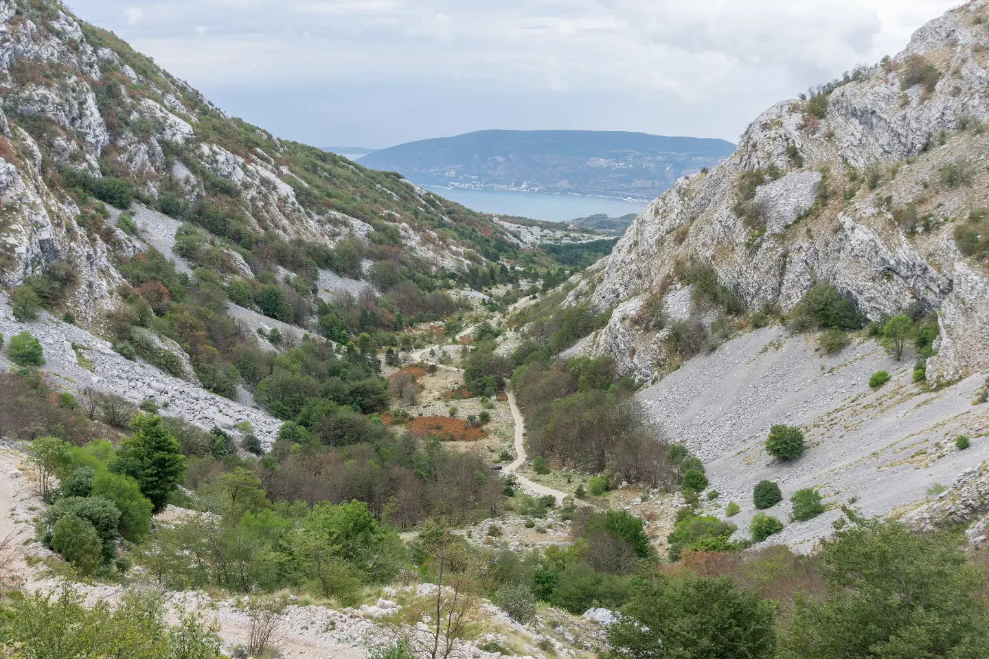 Starčevića serpentine