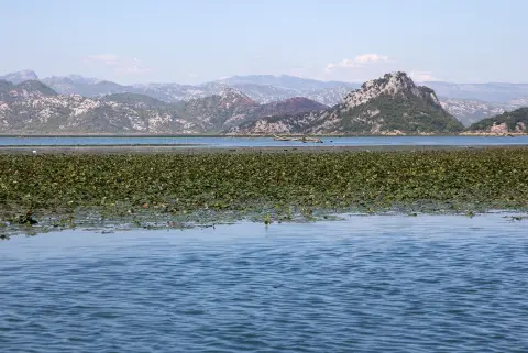 Vranjina – Velji vrh