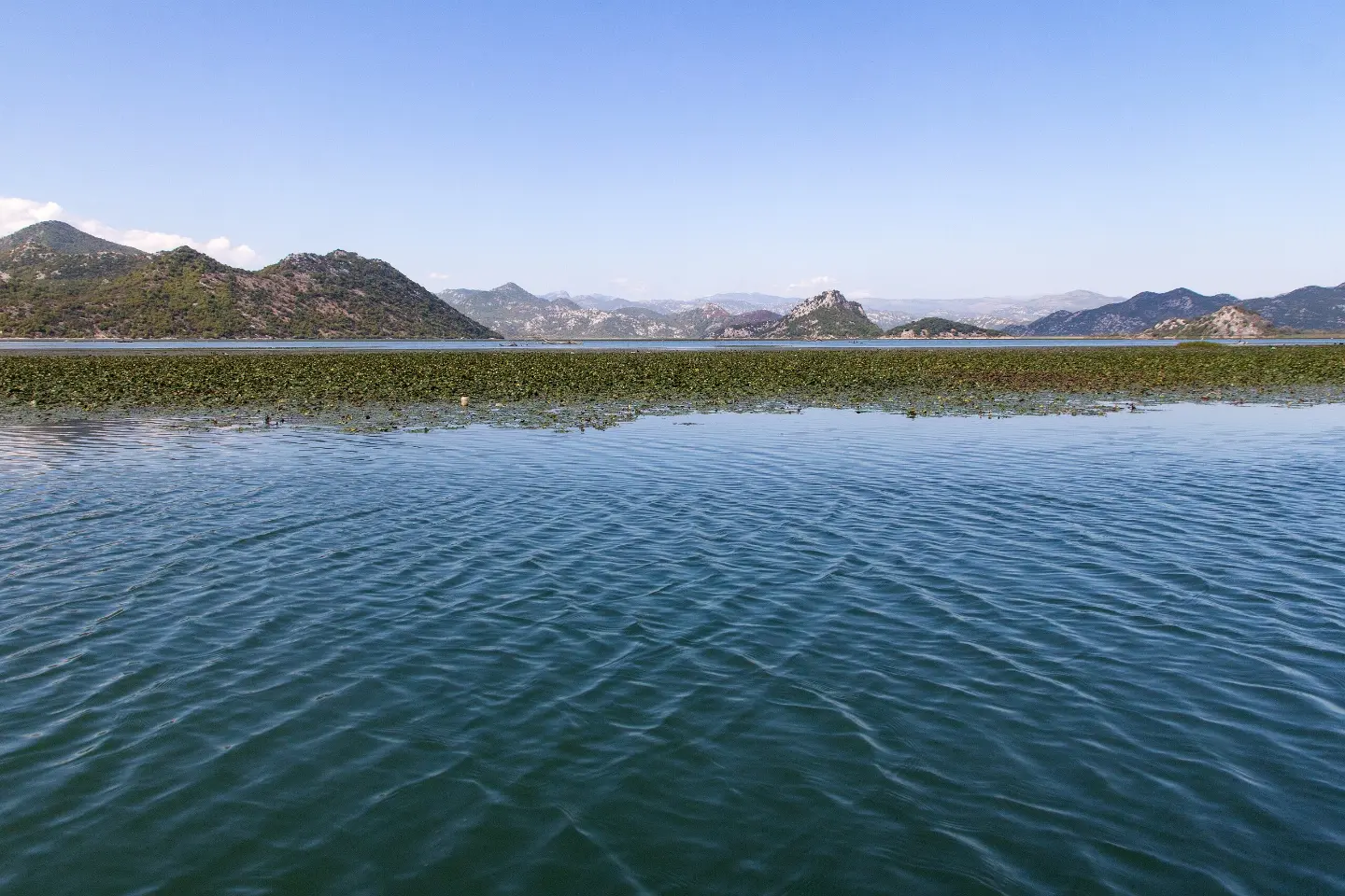 Lake Skadar