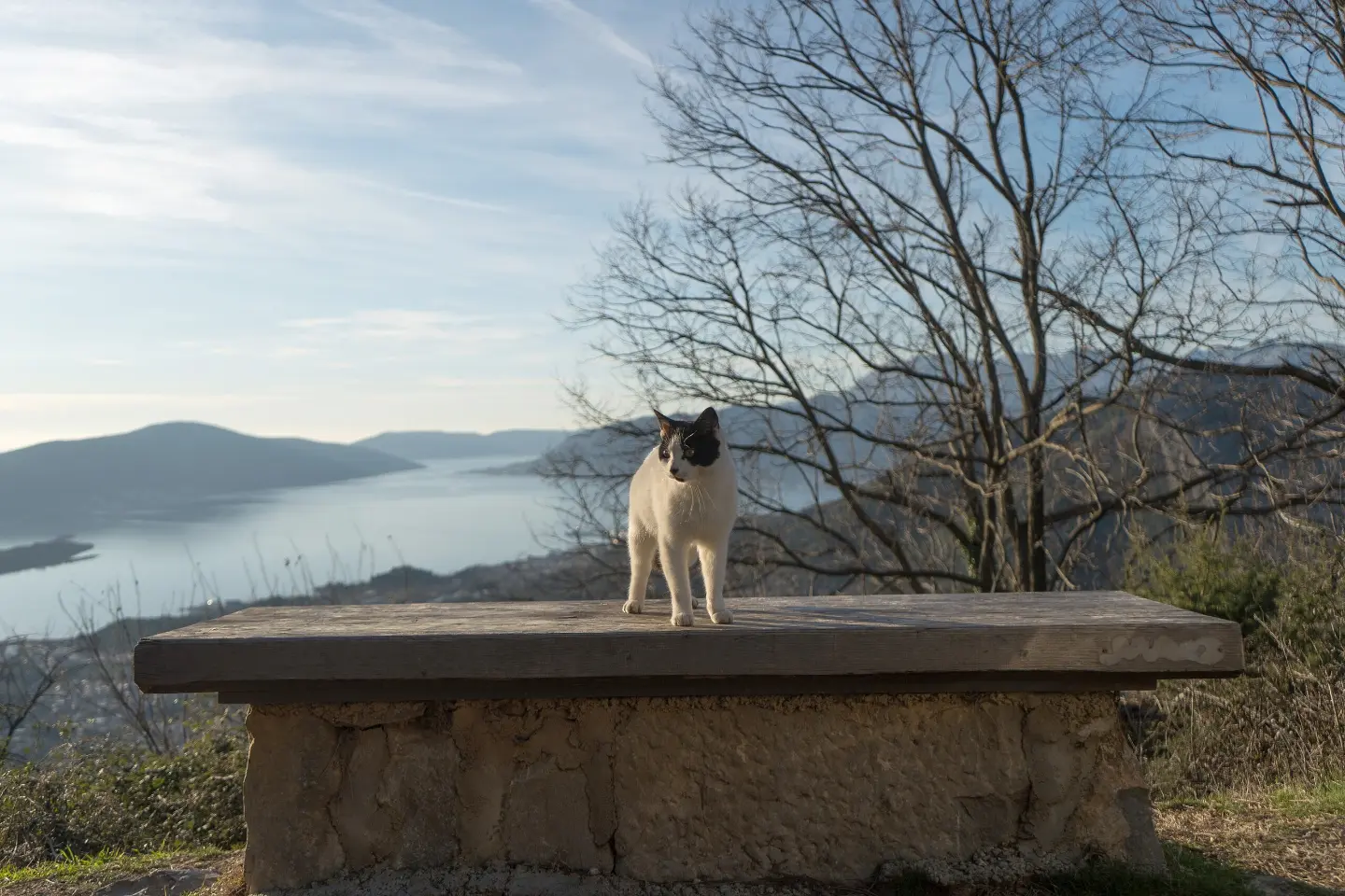 Pogled sa tvrđave Vrmac na Tivatski zaliv