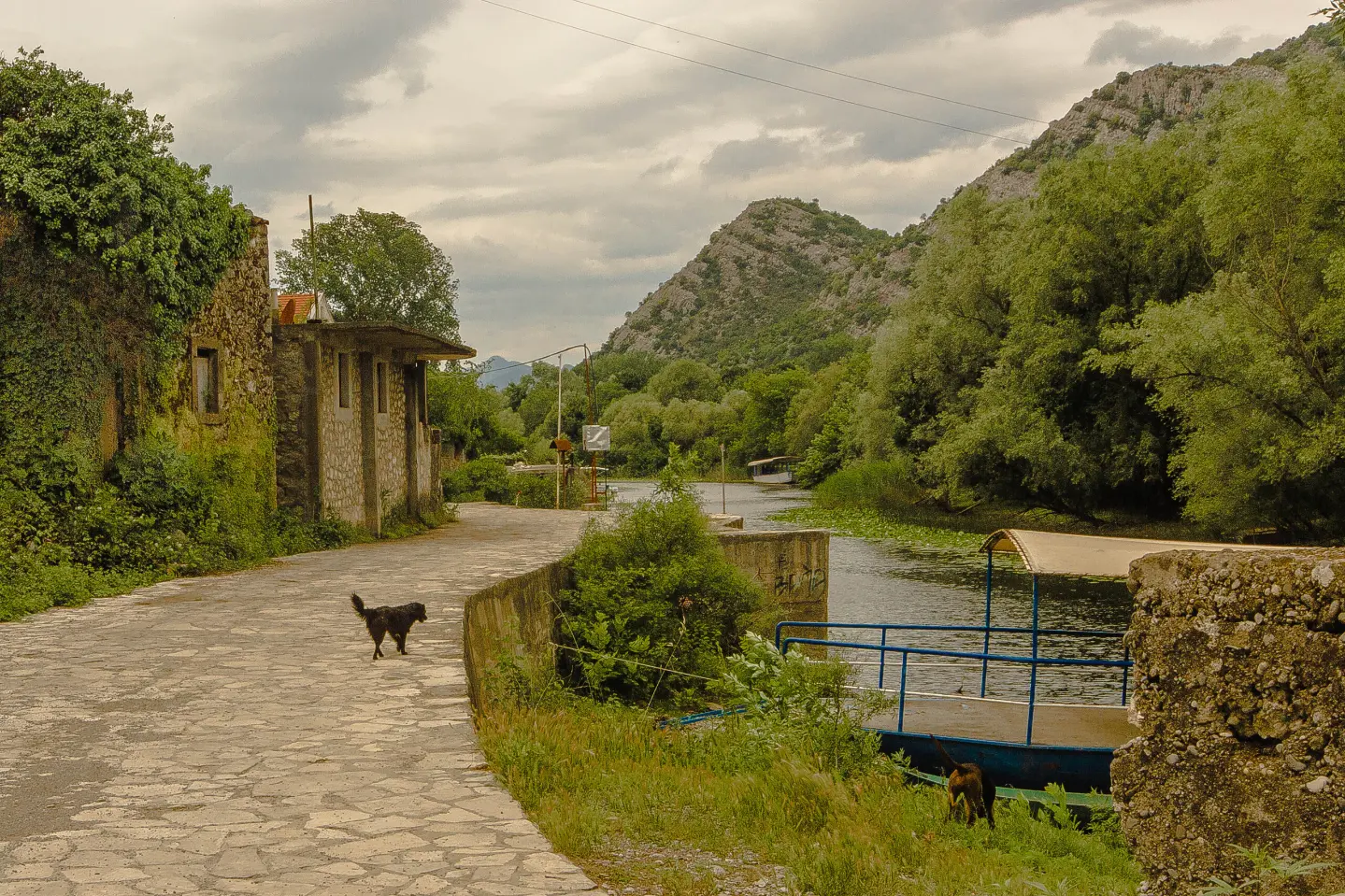 Lane through Žabljak Crnojevića