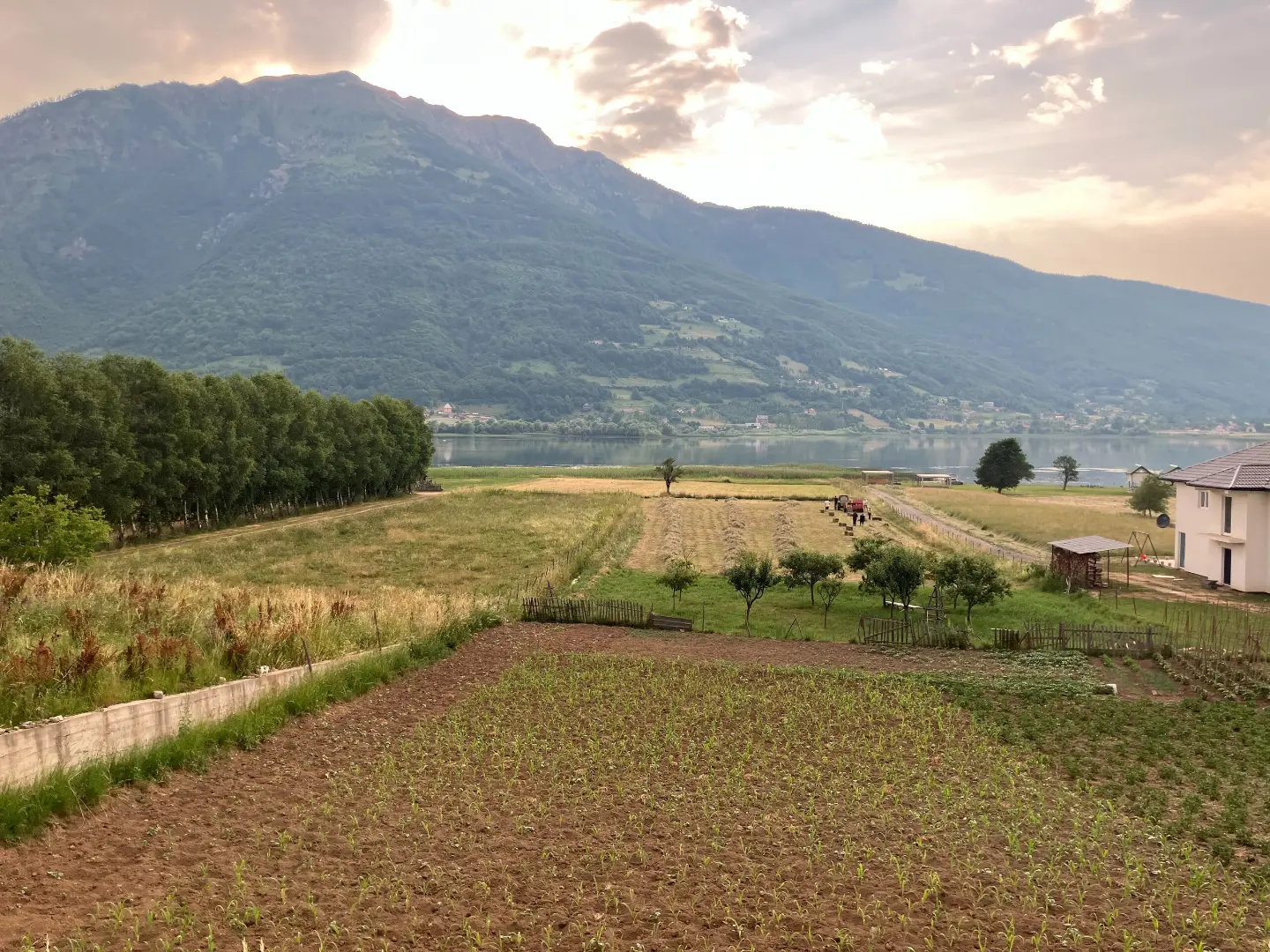 Fields by Lake Plav