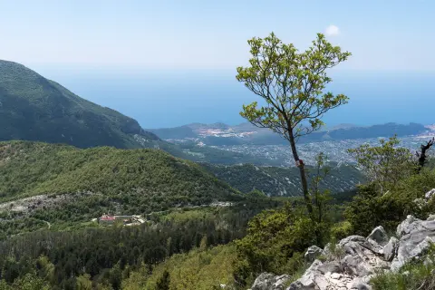 Dobri Do – m. Rumija